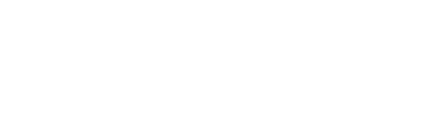Zinger